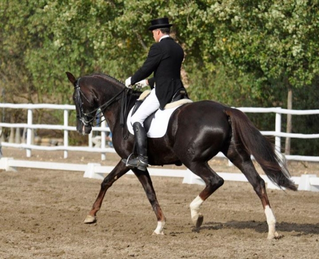 cabalgando en la pista